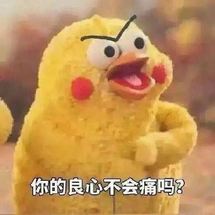 鹦鹉兄弟的表情包|鹦鹉兄弟gif表情包小图
