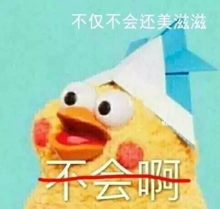 鹦鹉兄弟的表情包|鹦鹉兄弟gif表情包小图