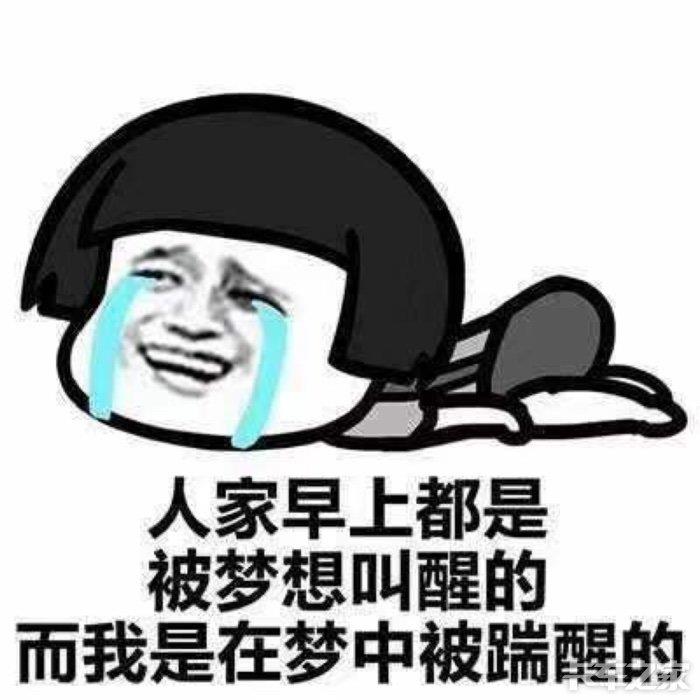 一起睡觉啊表情包|来跟我一起睡的表情图