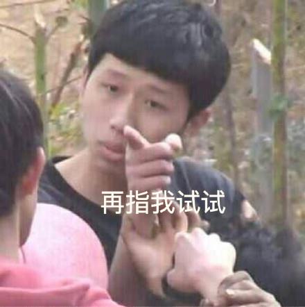 王境泽撤回表情包|王境泽表情gif大全
