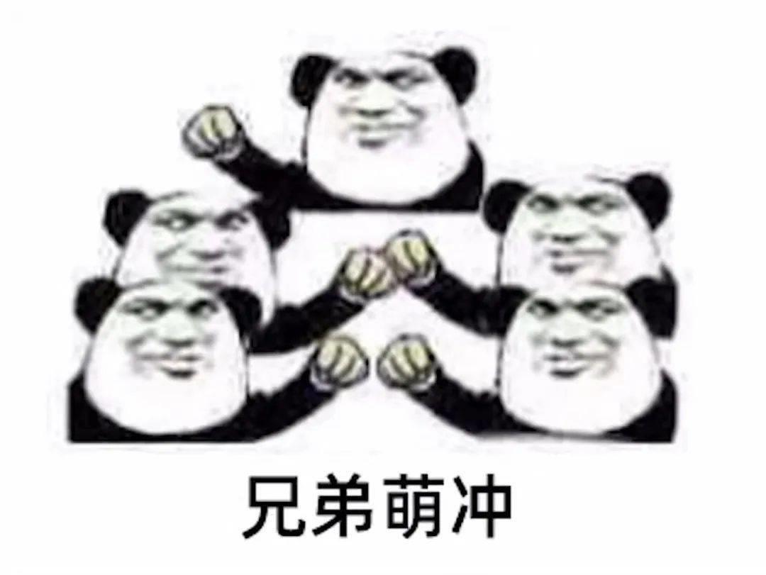 狗管理表情包 狗管理表情包动图