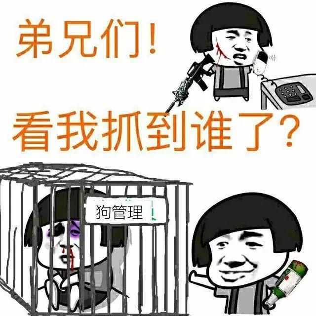 狗管理表情包 狗管理表情包动图