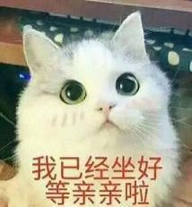 喵星人动态表情|喵喵喵表情