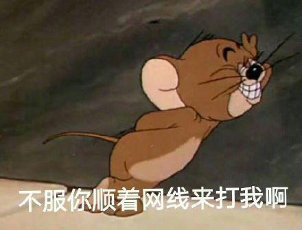 猫和老鼠表情包|猫和老鼠摸摸头表情包
