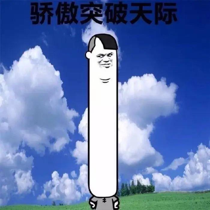 就是这么骄傲表情包-骄傲的表情