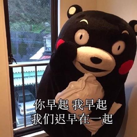 熊本熊表情包你有哪些搞笑的_熊本熊表情包全部