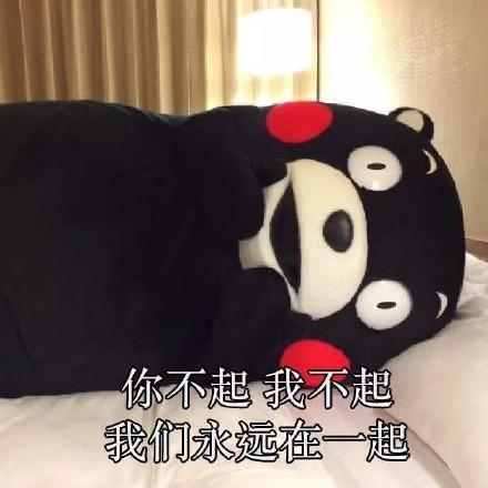 熊本熊表情包你有哪些搞笑的_熊本熊表情包全部