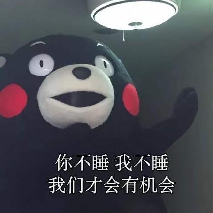 熊本熊表情包你有哪些搞笑的_熊本熊表情包全部