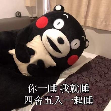 熊本熊表情包你有哪些搞笑的_熊本熊表情包全部