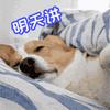 萌宠表情包_超可爱萌宠表情包动态