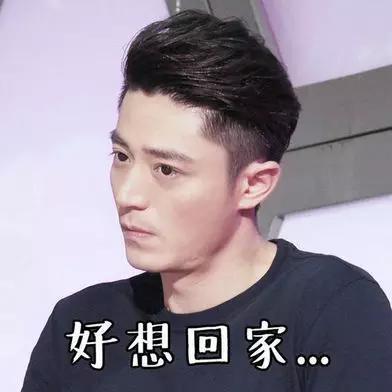霍建华表情包|霍建华表情包图片仙剑
