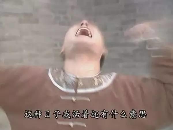 蒙丹表情包-蒙丹表情包gif