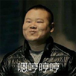 小岳岳搞笑表情包|小岳岳搞笑图片