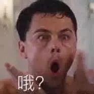 小李子表情包_小李子表情包喝酒