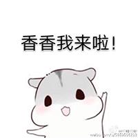 hamham仓鼠表情包_hamham仓鼠表情包动图可爱