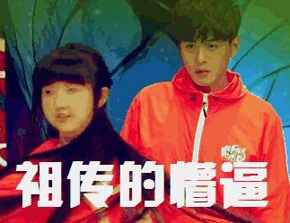 张若昀表情包-张若昀表情包哈士奇