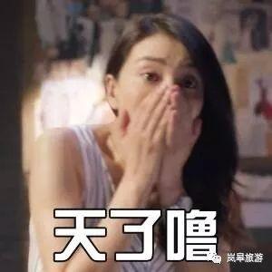 高圆圆表情包 高圆圆表情管理