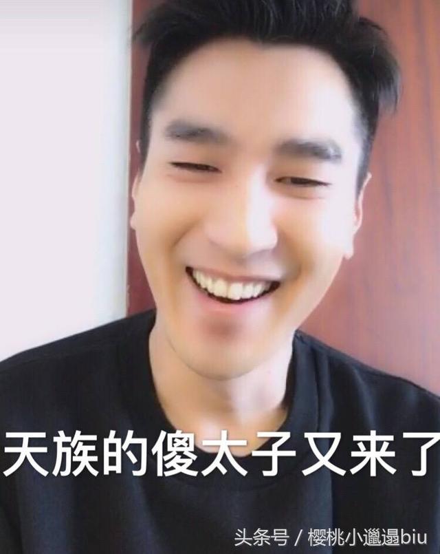 赵又廷表情包-赵又廷表情包gif