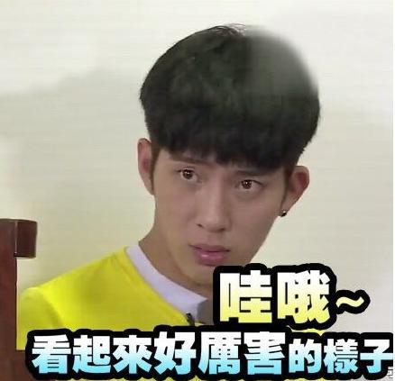 井柏然表情包|井柏然表情包带字图片