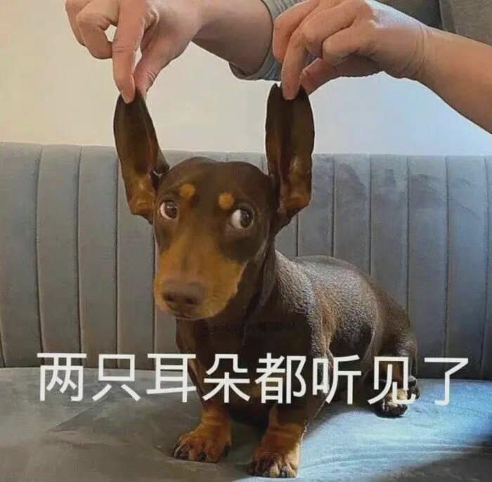 微信聊天常用的日常表情包图片带字