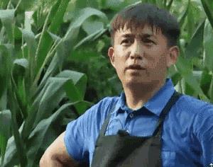 黄磊表情包_黄磊表情包gif
