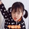 权律二动态表情包|权律二微信表情包动图