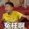 刘星动图表情包-刘星表情包图片