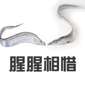 胡可冻带鱼表情包_带鱼表情包图片带字搞笑