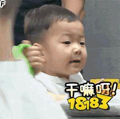 民国表情|民国表情包动图gif