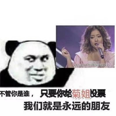 王菊拉票搞笑表情包图片 菊姐投票口号表情图