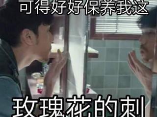 白宇表情包图片 白宇搞笑图片带字