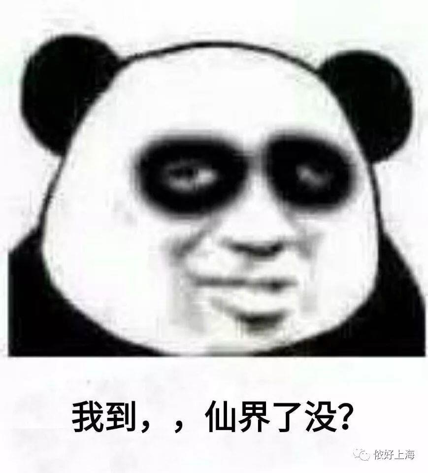 修仙表情包|修仙表情包十步