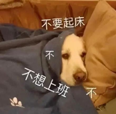 不想上班表情包图片大全打工人必备