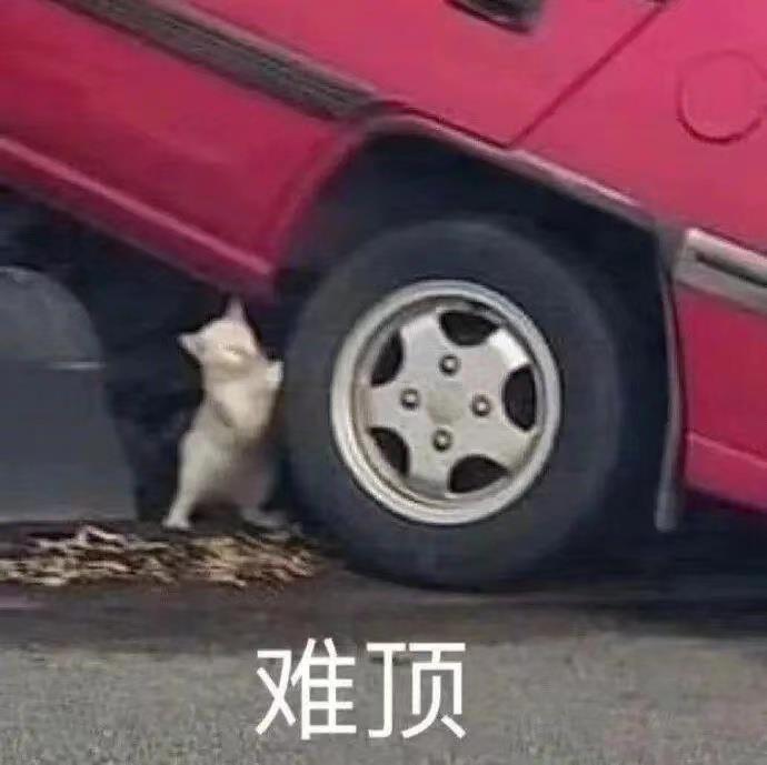 微信聊天超好用的表情包图片带字动态图
