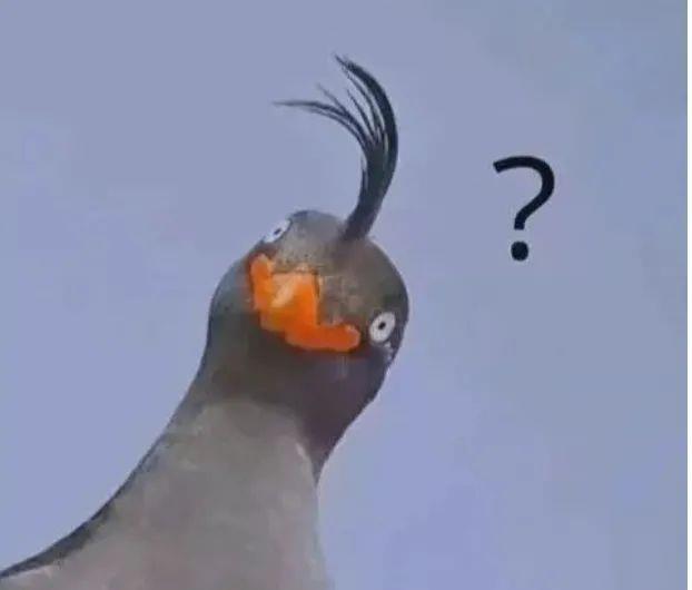 卖惨表情包图片带字|再坚持坚持一辈子很快就过去了