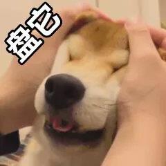 盘他微信搞笑表情包图片大全