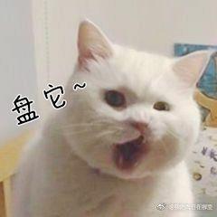 盘他微信搞笑表情包图片大全