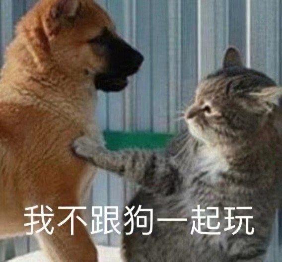 微信聊天怼人表情包越毒越好