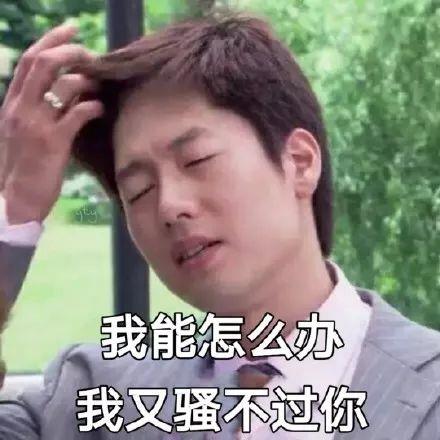 洪世贤搞笑表情包系列图片