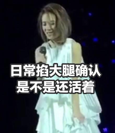 戴佩妮演唱会搞笑表情包图片大全