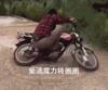 爱的魔力转圈圈搞笑微信表情包图片