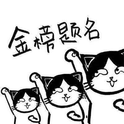 高考预热搞笑猫猫表情包图片大全