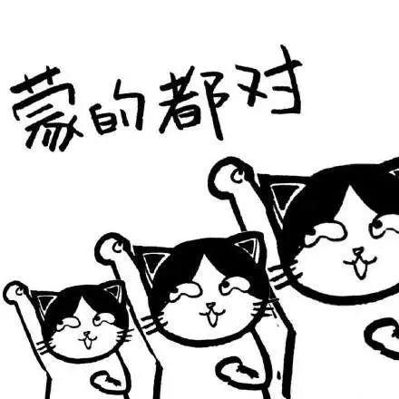 高考预热搞笑猫猫表情包图片大全