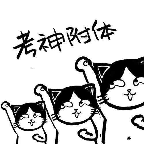 高考预热搞笑猫猫表情包图片大全