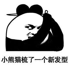 小熊猫系列搞笑表情包图片大全