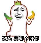 夜猫子卡通表情包图片大全