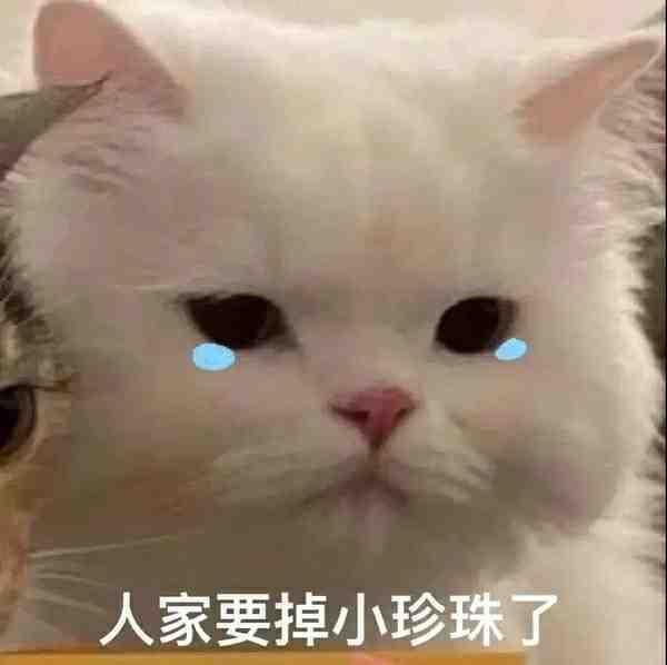 可爱傲娇的撒娇表情包图片带字