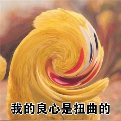 鹦鹉兄弟良心表情包合集微信图片