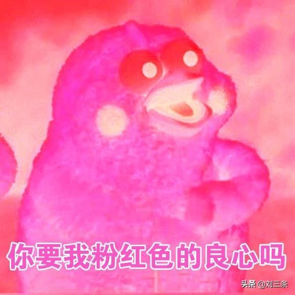 鹦鹉兄弟良心表情包合集微信图片