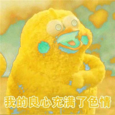 鹦鹉兄弟良心表情包合集微信图片